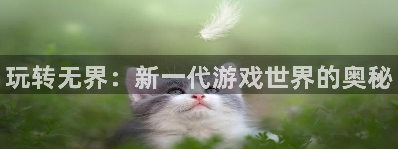 千亿app官网下载