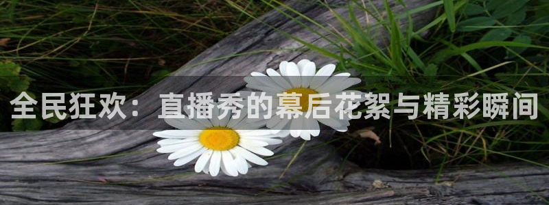 jrkan2023直播体育网：全民狂欢：直播秀的幕后花絮与精彩瞬间