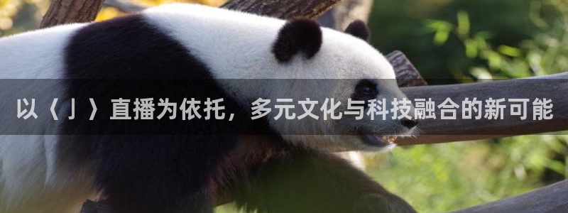 jrkan直播nba在线观看：以〈亅〉直播为依托，多元文化与科技融合的新可能