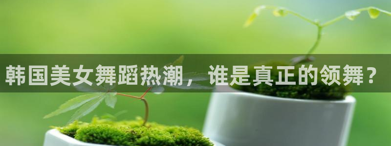 jr看球直播网：韩国美女舞蹈热潮，谁是真正的领舞？