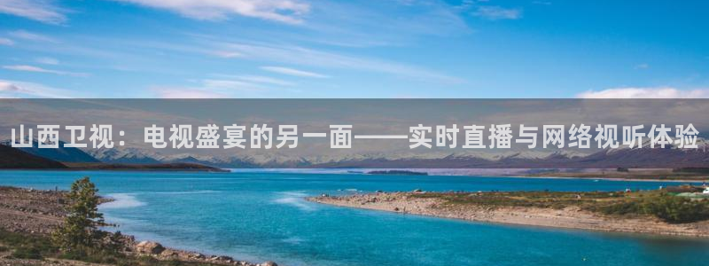 jrkan直播免费高清体育直播nba：山西卫视：电视盛宴的另一面——实时直播与网络视听体验