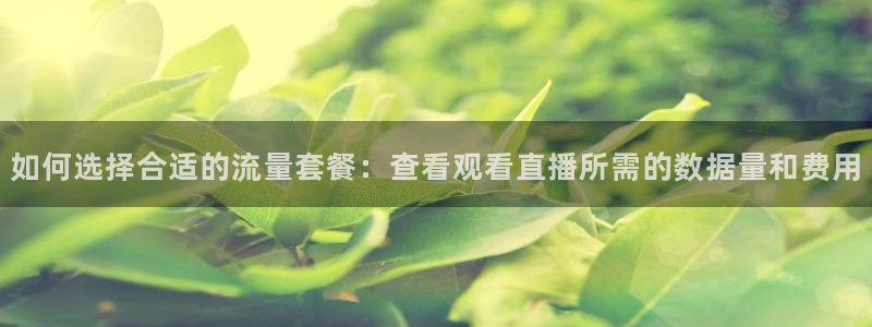 jr看直播nba：如何选择合适的流量套餐：查看观看直播所需的数据量和费用
