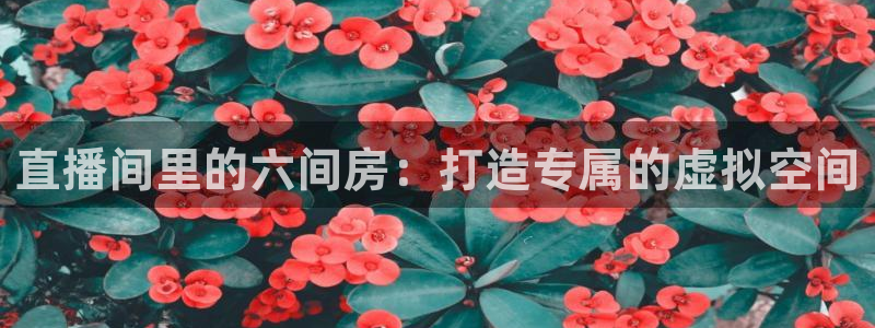 jrkan直播nba免费：直播间里的六间房：打造专属的虚拟空间