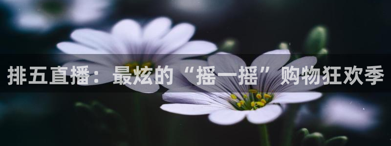 jr看球直播网：排五直播：最炫的“摇一摇”购物狂欢季